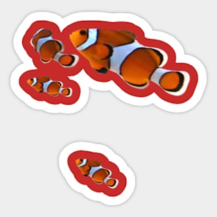 nemo fish aquarium Sticker